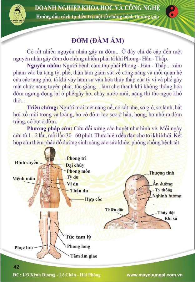 Máy cứu ngải : Đờm ( Đàm Ẫm)