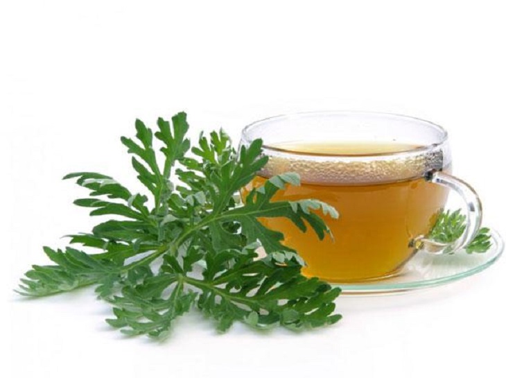 Uống ngải cứu nhiều có tốt không? Hướng dẫn uống ngải cứu đúng cách
