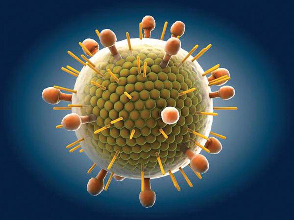 Điều trị virus bằng hương ngải cứu Khánh Thiện liệu có an toàn?
