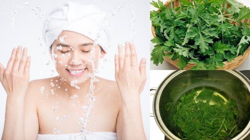 Mách bạn mẹo trị mụn bằng ngải cứu hiệu quả