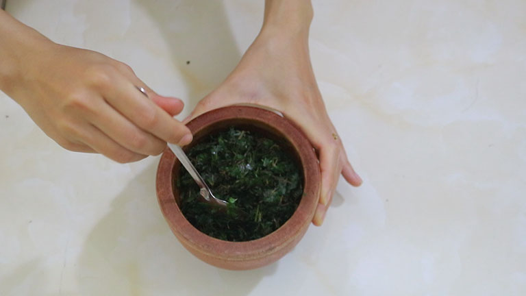 Bài thuốc ngải cứu đã được áp dụng trong dân gian từ lâu để chữa thoát vị đĩa đệm
