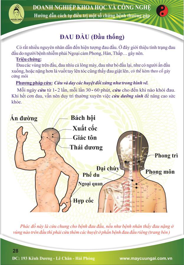 Máy cứu ngải: Điều trị chứng đau đầu ( Đầu Thống)