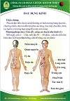 DYSMENORRHEABệnh đau bụng kinh