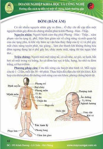Giải Pháp Trị Đờm