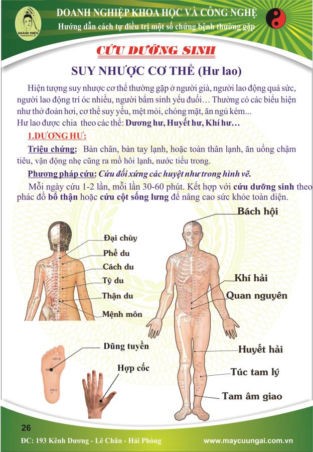 Máy cứu ngải: điều trị suy nhược cơ thể ( Hư Lao )