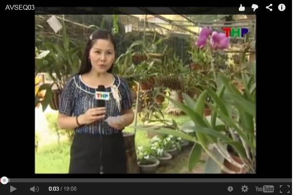 Cultural Space - Vietnamese Woman - Haiphong TVKhông gian văn hóa (Người phụ nữ Việt) Đài truyền hình Hải Phòng