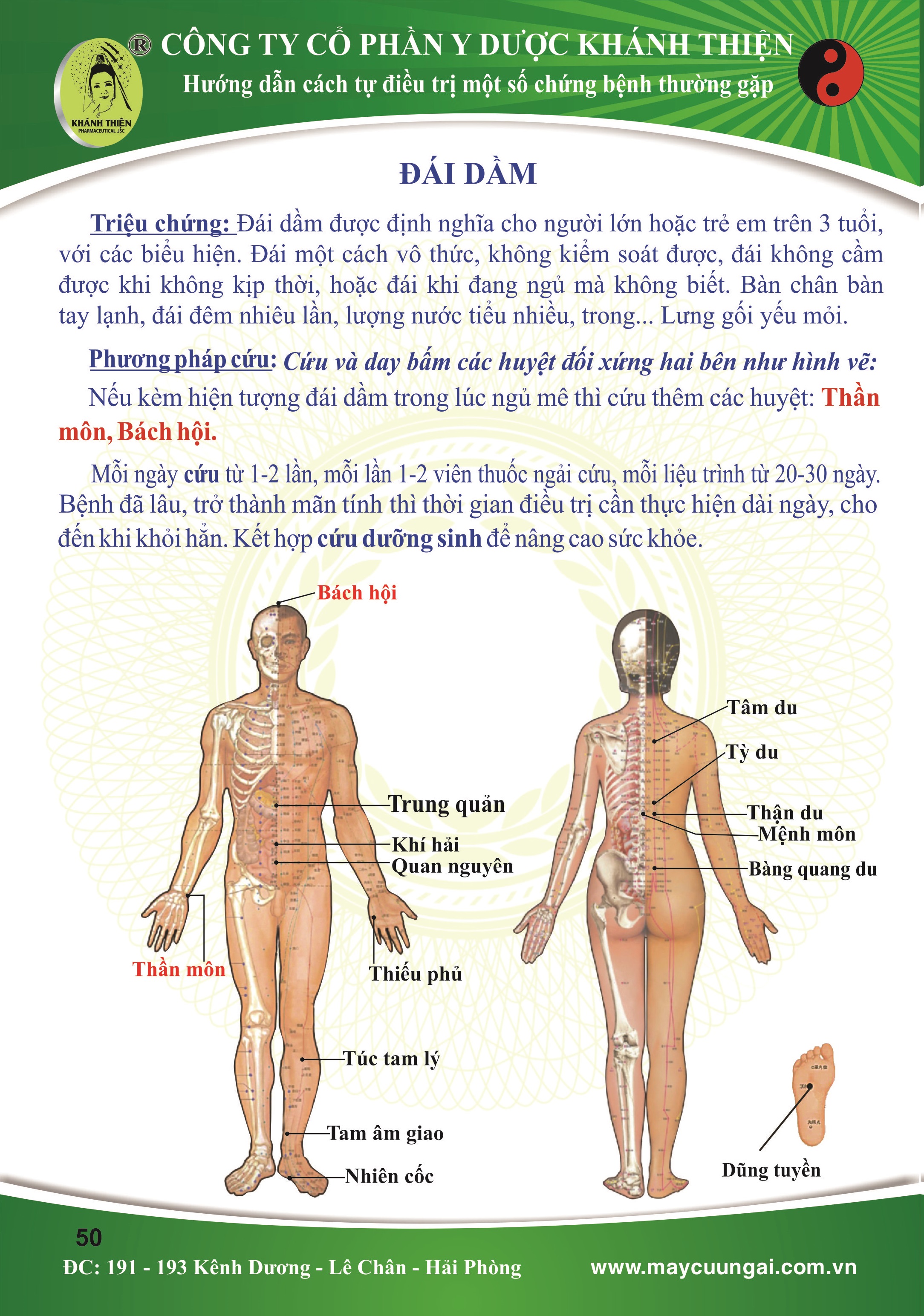 ĐÁI DẦM 