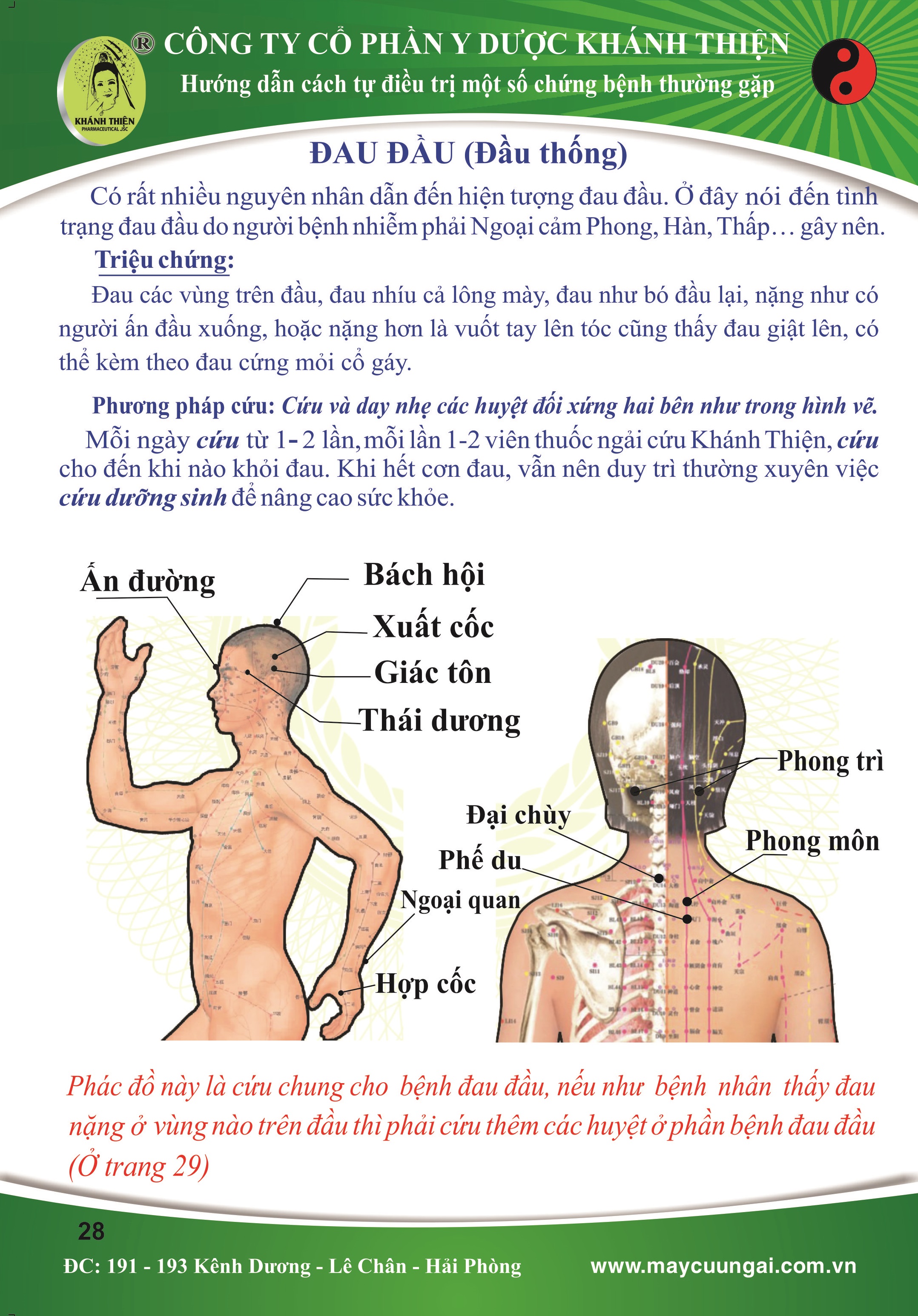 ĐAU ĐẦU (đầu thống)