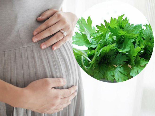 NGẢI CỨU BÀ BẦU ĂN ĐƯỢC KHÔNG?
