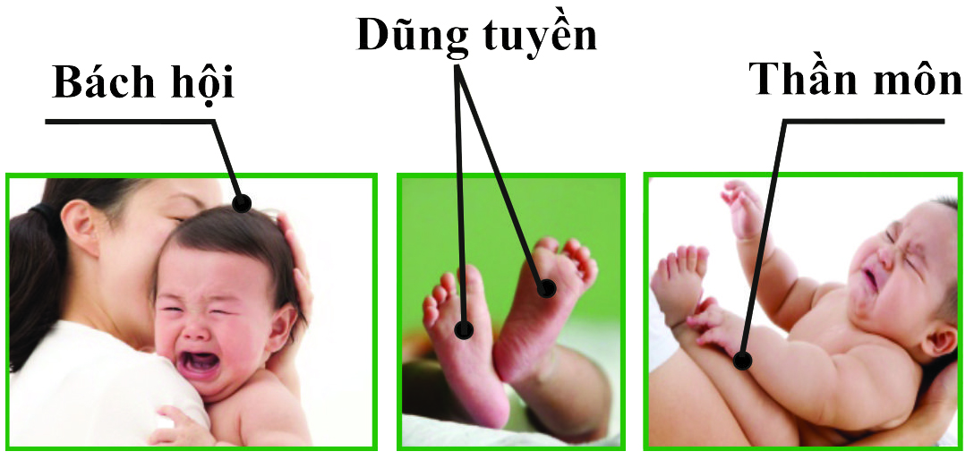 Cách chữa bệnh trẻ em khóc dạ đề bằng hương nén ngải cứu khánh thiện