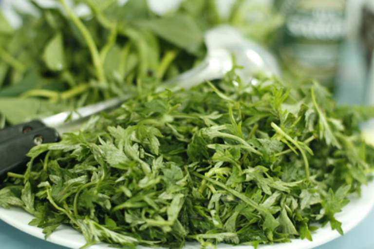 Thực hư chuyện ngải cứu giúp điều hòa kinh nguyệt - hiệu quả mang lại như thế nào?